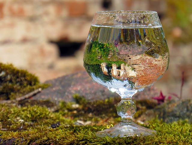 Lebenselixier Wasser